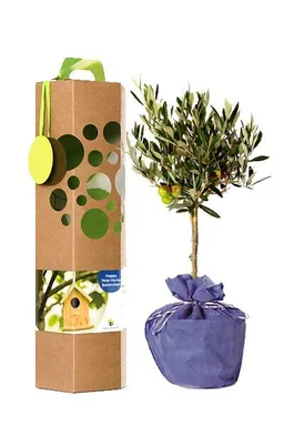 SchenkeinBäumchen SchenkeinBäumchen Happy New Home Baum – Produktbild 1 von 1