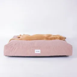 Caruso Conscious Pet Supply Caruso Conscious Pet Supply Hundebett - Teddy Rosa - aus Upcycling- und Recyclingmaterial – Produktbild 1 von 1