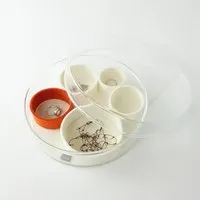 matilda k manufaktur matilda k. manufaktur Schmuckaufbewahrung Schmuckschale 'luise' aus Glas mit Einsätzen aus Wollfilz, Wollweiß, – Produktbild 1 von 1