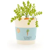 Die Stadtgärtner Die Stadtgärtner Möhren-Anzuchtset als Geschenk für Lieblingsmenschen | Nachhaltige Geschenkidee für Liebesbotschaften, Geburtstage & Dankeschön – Produktbild 1 von 1
