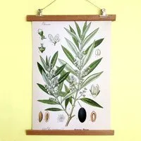 all the things we like all the things we like Poster Olive mit Aufhängung – Produktbild 1 von 1