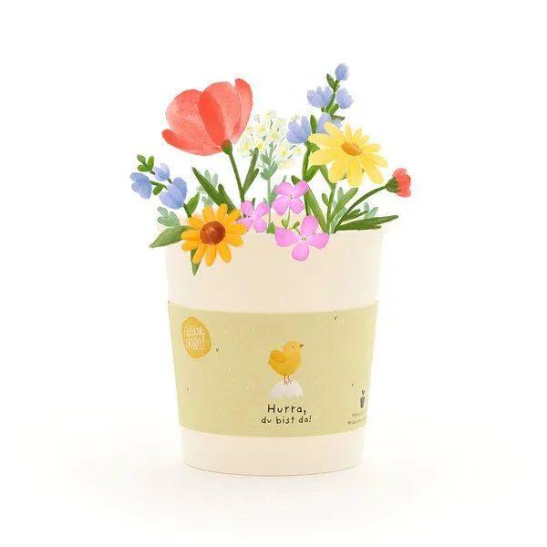 Die Stadtgärtner Die Stadtgärtner Wildblumen-Anzuchtset – Produktbild 1 von 4