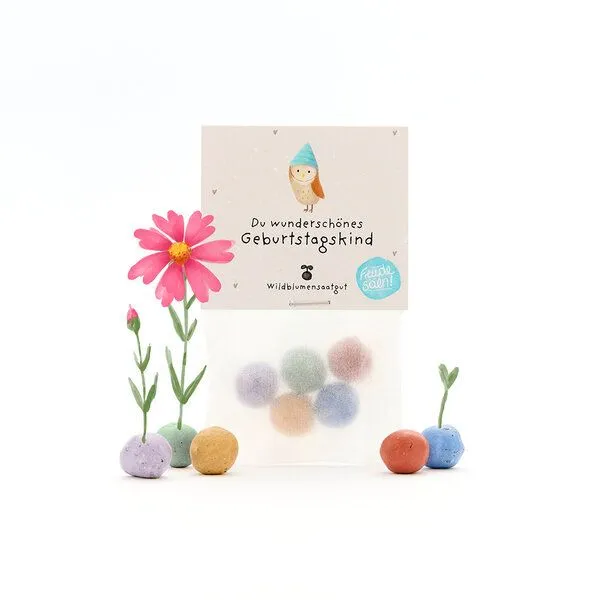 Die Stadtgärtner Die Stadtgärtner 5 bunte Blumenmurmeln im Tütchen mit Wildblumensaatgut | Geschenkidee und tolle Überraschung zum Geburtstag – Produktbild 1 von 4