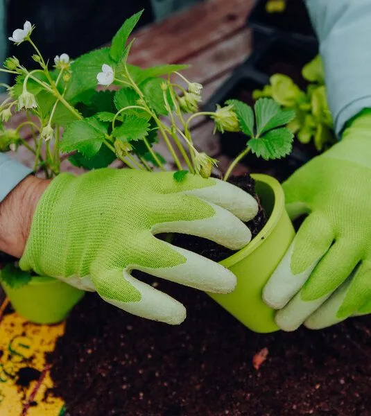 Fair Zone Fair Zone Gartenhandschuhe – Produktbild 2 von 4