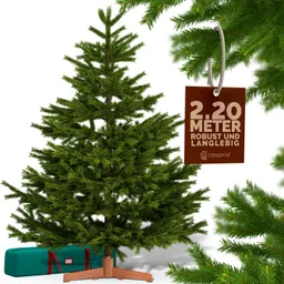 Casaria® Künstlicher Weihnachtsbaum Premium 220cm PE / PVC mit Holzständer FSC® – Produktbild 1 von 1