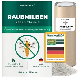 Silberkraft Silberkraft Raubmilben gegen Thripse – Produktbild 1 von 1