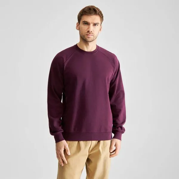 Dedicated DEDICATED Sweatshirt Malmoe Base aus Bio-Baumwolle, Rot (fig red), – Produktbild 1 von 4