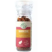 El Puente El Puente Barbecue Mittelscharfe Gewürzmischung in der Mühle | Fair Trade | Vegan | Glutenfrei, Mehrfarbig, – Produktbild 1 von 1