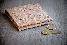 BY COPALA BY COPALA Portemonnaie aus Kork , handgefertigt, schlankes und kleines, zweifach faltbares Geldbörse aus veganem Leder – Produktbild 1 von 1
