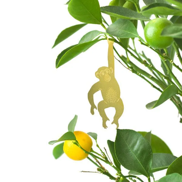 another studio another studio Plant Animal - Design Pflanzendekoration - Figuren aus Messing, Schimpanse, – Produktbild 1 von 4