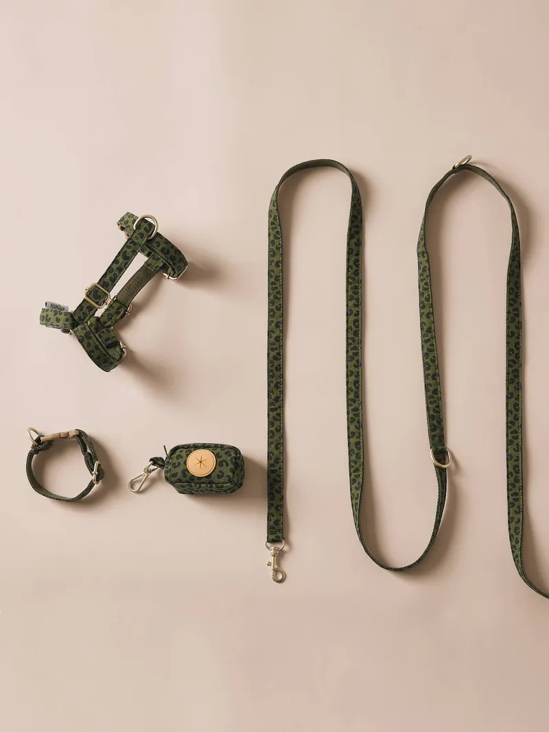 Vertbaudet 4-teiliges Gassi-Set für Hunde mit Hundegeschirr, Khaki, – Produktbild 1 von 7