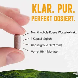 Dorado Superfoods Rosenwurz Kapseln – 470 mg Extrakt, 5 % Salidroside – 120 Stück Kapseln, 68.4 g – Produktbild 1 von 1