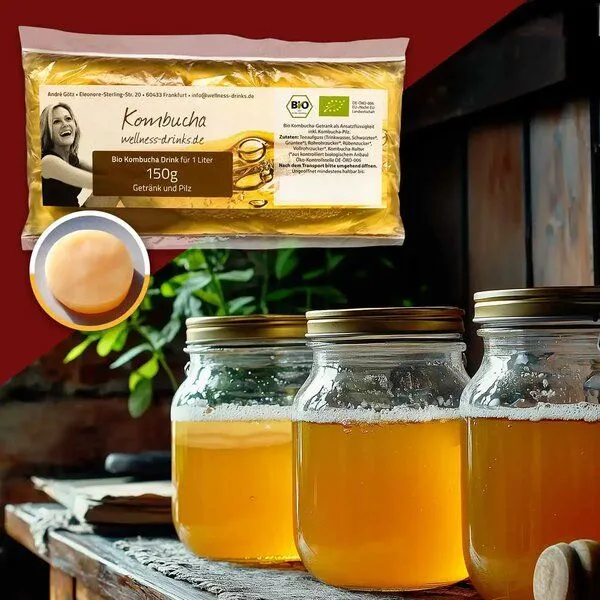 Wellness-Drinks Bio Kombucha mit Kombucha-Pilz (klein) – Produktbild 2 von 4