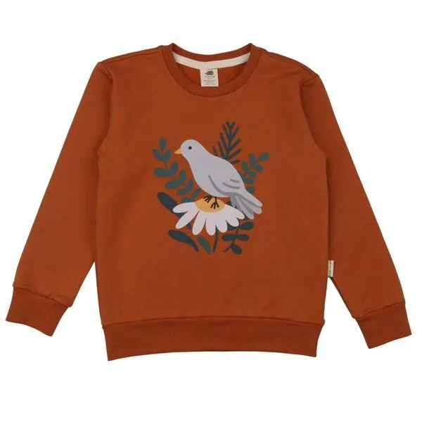 Walkiddy Kinder Sweatshirt GOTS-zertifiziert aus Bio-Baumwolle, braun mit Vogelmotiv, langarm, weicher Rundhalsausschnitt – Walkiddy, bequem & hautfreundlich, Braun, – Produktbild 1 von 3