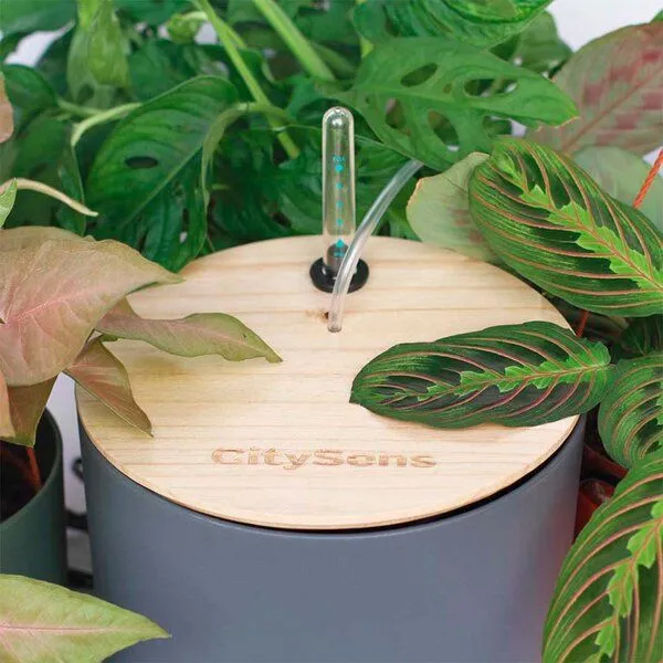 CitySens CitySens Smart Tropfbewässerung, Anthrazit, – Produktbild 2 von 4