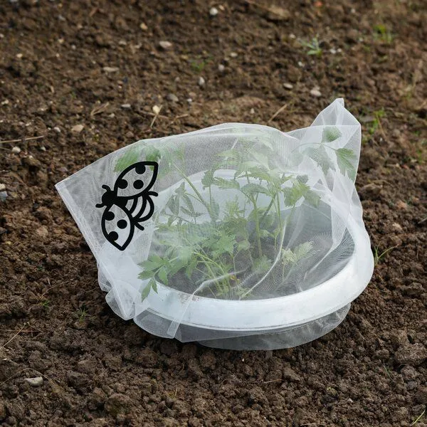 Andermatt Biogarten Andermatt Biogarten Insektenschutz-Taschen für Gemüse und Stauden – Produktbild 3 von 4