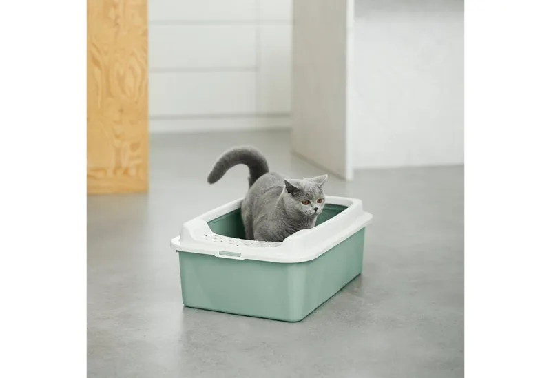 rotho rotho Katzentoilette "BONNIE" aus Recyclingkunststoff, mistletoe green – Produktbild 5 von 5