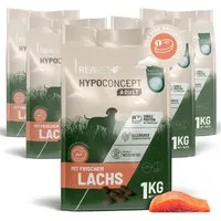 REAVET REAVET Hundetrockenfutter Hypoconcept – Lachs | 5x1kg – Produktbild 1 von 1
