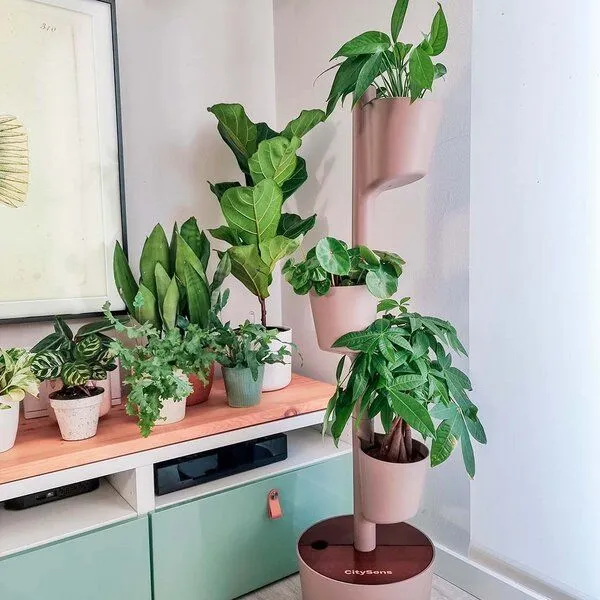 CitySens CitySens Vertikaler Blumentopf mit Wifi-Selbstbewässerung 3 Blumentöpfe, Rinde-teak, – Produktbild 2 von 4