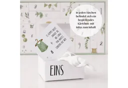 Mami-Countdown Adventskalender Adventskalender für Schwangere 2026 mit 24 Türchen – Limited Edition (Set), Für Mama & Baby, inkl. Online-Adventskalender, Schmuckfarbe wählbar – Produktbild 1 von 1
