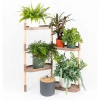 CitySens CitySens Blumenregal mit 4 Ablagen und automatischer Bewässerung., Rinde, – Produktbild 1 von 1