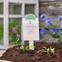 Die Stadtgärtner Die Stadtgärtner Wildblumen-Samen "Gummistiefel sind meine Pumps" | Kreatives Geschenk – Produktbild 1 von 1