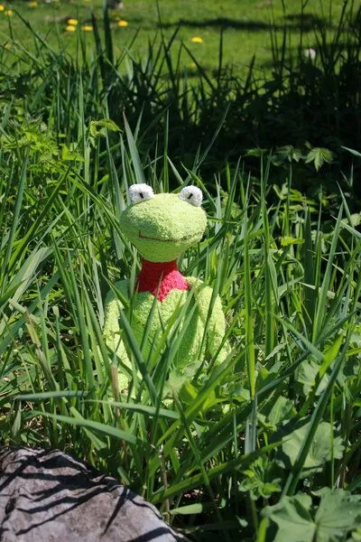 Efie Efie Spieluhr Schlenker Frosch, kbA – Produktbild 5 von 6
