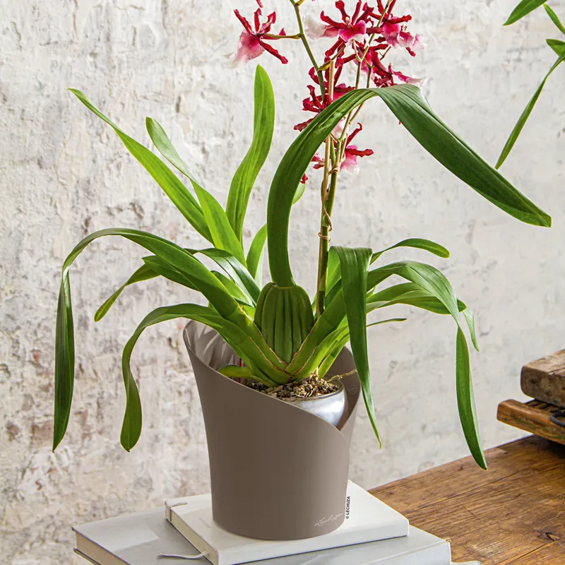 Lechuza® Lechuza® 'Orchidea', taupe matt, ca. Ø 18 x H 20 cm, Graubraun, – Produktbild 1 von 1