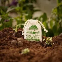 Die Stadtgärtner Die Stadtgärtner Seedbombs Wilde Wiese I 8 Handgemachte Samenbomben über 40 Blumensamen – Produktbild 1 von 1