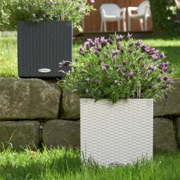 Lechuza® Lechuza® 'Cube Cottage 30', weiß, ca. 29,5 x 29,5 x H 30 cm – Produktbild 1 von 1