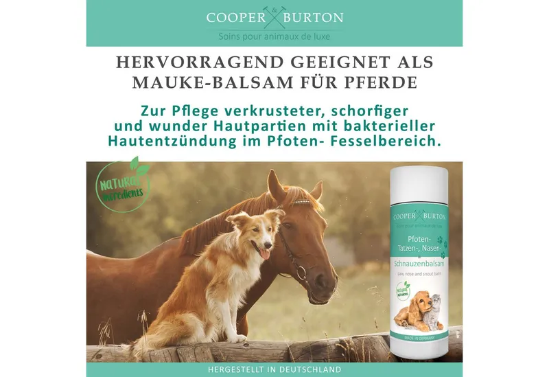 Cooper&Burton Pfotenpflege Pfotenbalsam auch für Nasen & Schnauzen, Hunde & Katzen Cooper&Burton, 40 ml, Pflegt Pfoten Nase Schnauze schütz vor Asphalt Streusalz Untergrund – Produktbild 5 von 5