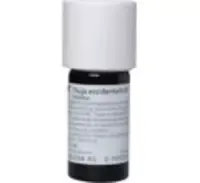 Weleda WELEDA THUJA OCCIDENTALIS Urtinktur 20 ml Dilution – Produktbild 1 von 1