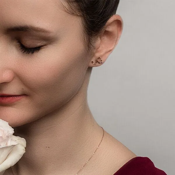 Eppi Eppi Goldener Ohrring mit Sternzeichen Leo, Rosa, – Produktbild 2 von 4