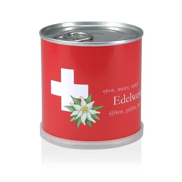 MacFlowers MacFlowers Pflanzen in der Dose - Edelweiss Schweiz – Produktbild 1 von 4