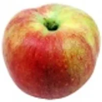 Deutschland ÃÑpfel Deljonca – Produktbild 1 von 1