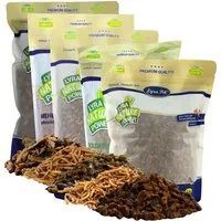 LYRA PET Lyra Pet Insekten Probier Mix getrocknet – Produktbild 1 von 1