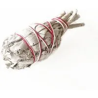 Crystal and Sage Crystal and Sage Weißer Salbei Smudge Stick – Produktbild 1 von 1