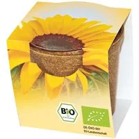 Bio Sonnenblumen im Easy Wachstumstopf – Produktbild 1 von 1