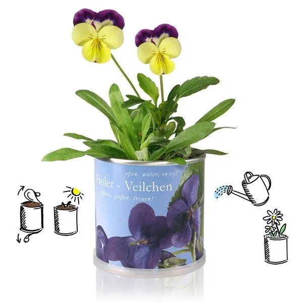 MacFlowers MacFlowers Pflanzen in der Dose - Happy Birthday Kerzen – Produktbild 2 von 3