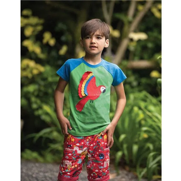 Frugi Frugi T-Shirt Papagei in grün-blau – Produktbild 2 von 3