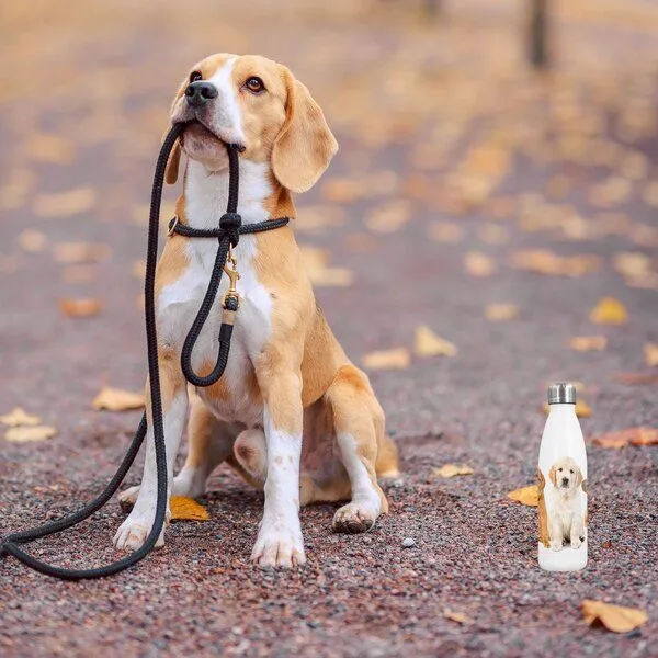 Dora's Dora's Dora’s Edelstahl-Thermoflasche "Hund" (500ml) – Doppelwandig – Produktbild 2 von 3