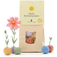 Die Stadtgärtner Die Stadtgärtner 8 Wildblumen-Saatkugeln als kreatives Geschenk | Geschenkidee für Geburtstage, als Dankeschön & für Sonnenschein-Momente – Produktbild 1 von 1