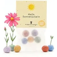Die Stadtgärtner Die Stadtgärtner 5 bunte Blumenmurmeln im Tütchen mit Wildblumensaatgut | Geschenk für Freunde, zur Aufmunterung & als Dankeschön – Produktbild 1 von 1