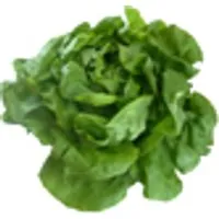 Deutschland Kopfsalat, grün – Produktbild 1 von 1