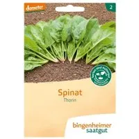 Bingenheimer Saatgut Spinat Thorin – Produktbild 1 von 1