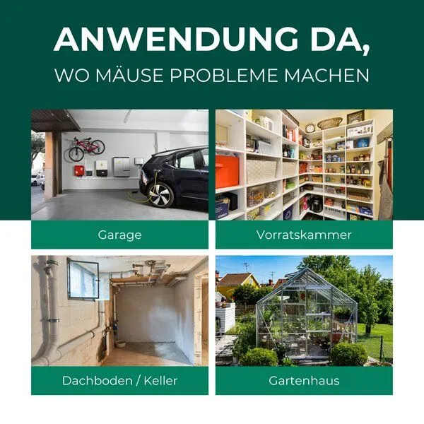 Silberkraft Silberkraft Lebendfalle für Mäuse aus Draht - Mäusefalle - tierfreundliche Alternative zu Schlagfallen und Giftköder – Produktbild 3 von 4