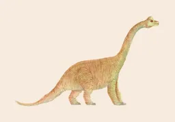 Photocircle Photocircle Poster / Leinwandbild - Diplodocus – Produktbild 1 von 1
