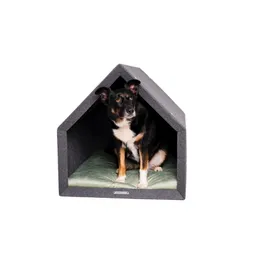 Rexproduct Rexproduct Pethome 2.0 dunkelgrau grau/ grün L – Produktbild 1 von 1