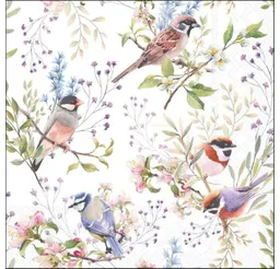 Ambiente Luxury Paper Products Kaffeeservice Blumen - Pflanzen, Tiere, Vögel, Vogel, Vogelmotiv- Blumenmotiv (20-tlg), Tissue: 3-lagig, 100% FSC, chlorfrei gebleicht, Farben auf Wasserbasis - Auch für Decoupage und Serviettentechnik 33x33cm - und Frühstück, Kaffeetafel, Gartenfest oder als dekorativer Blickfang im Alltag, Ideal für Geschenk, Kaffeetafel, Gartenfest, Tischdeko – Produktbild 1 von 1