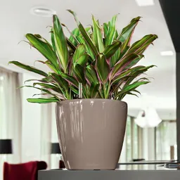 Lechuza® Lechuza® 'Classico LS 28', taupe, ca. Ø 28 x H 26 cm – Produktbild 1 von 1